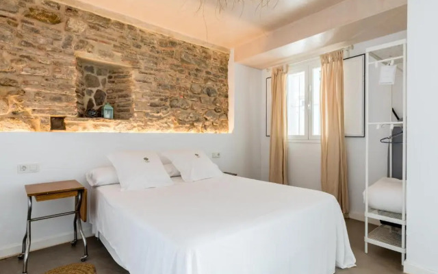 Erizo 4 Estudio en el Centro Histórico