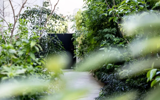 Tel Aviv Garden Oasis by Sea N' Rent