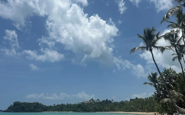 El Rincon de Abi