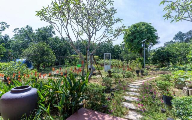 Thai Gia Trang Farmstay