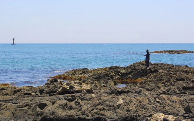 Pohang View 141 Pension