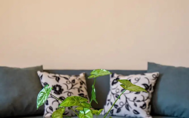 Apartment Alpha Tbilisi