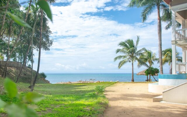 Lawson Rock - Parrotfish 106