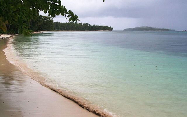 Tarzan's Beach Resort