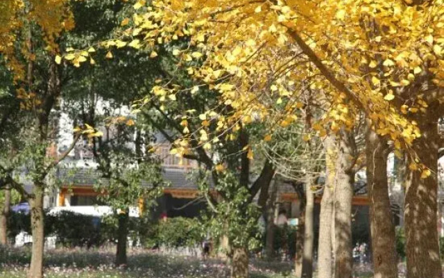 Tianyuan Inn