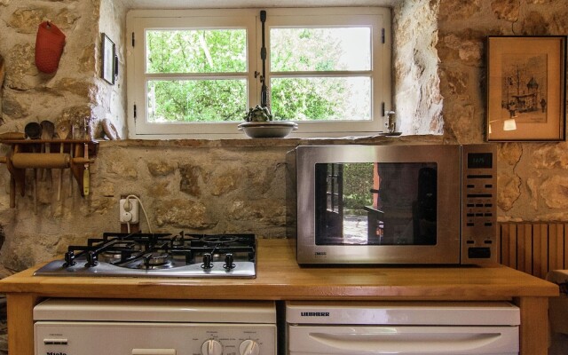 Spacious Farmhouse with private garden in Saint-Cybranet