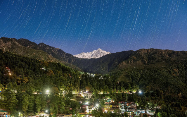 The Bougainvillea, Mcleodganj