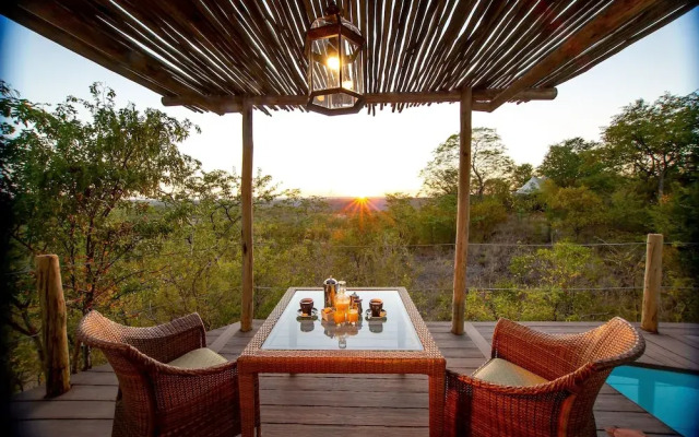 The Elephant Camp
