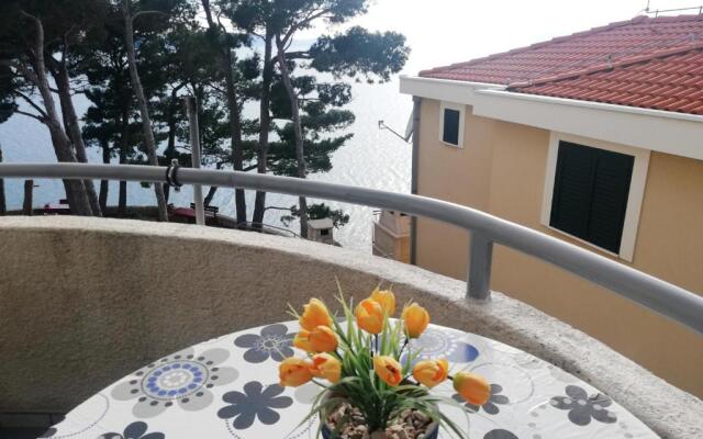 Apartments Villa Jelas