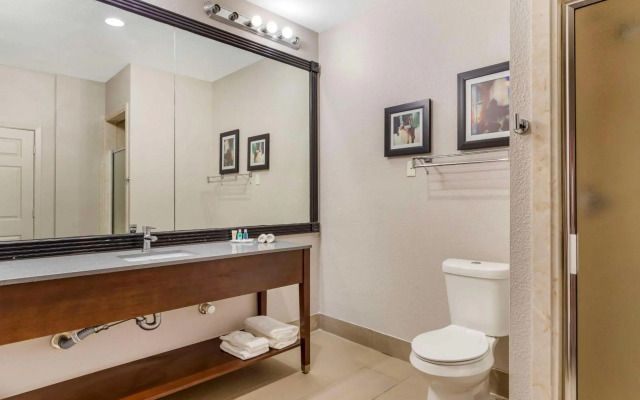 Comfort Suites Shenandoah-The Woodlands