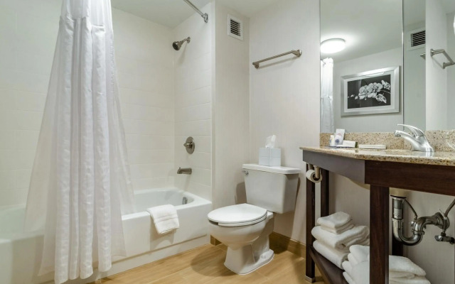 Comfort Inn Raleigh Midtown