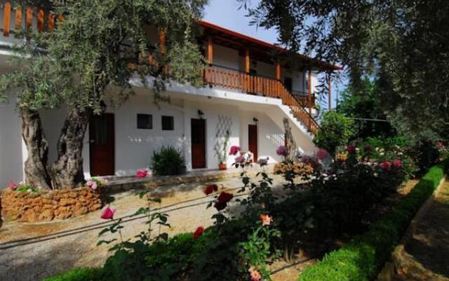 Vergonis Studios