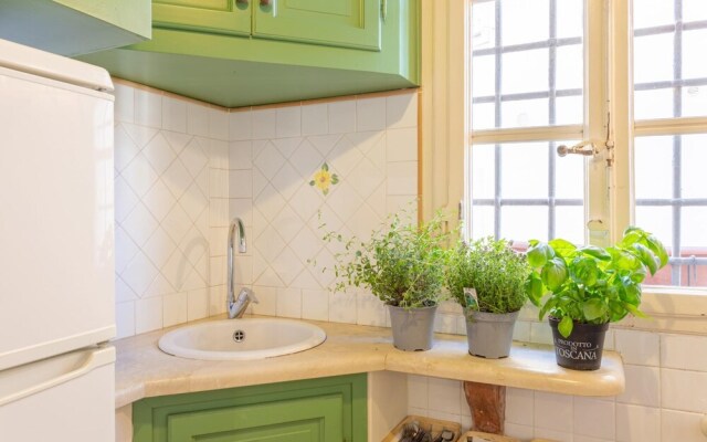 Aromatic Green House