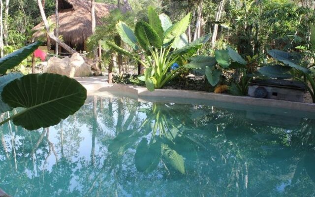 Casa Selva Orquideas