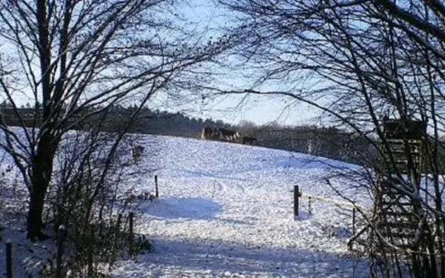Ferienhaus auf Reiterhof im Westerwald