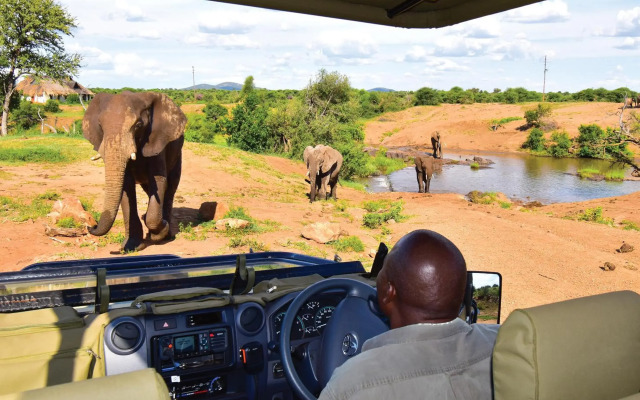Madikwe River Lodge