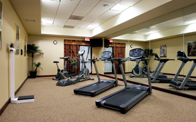 Holiday Inn Express Hotel & Suites DFW Airport South by IHG