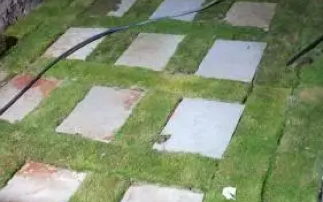 Vamoose Malvan Katta