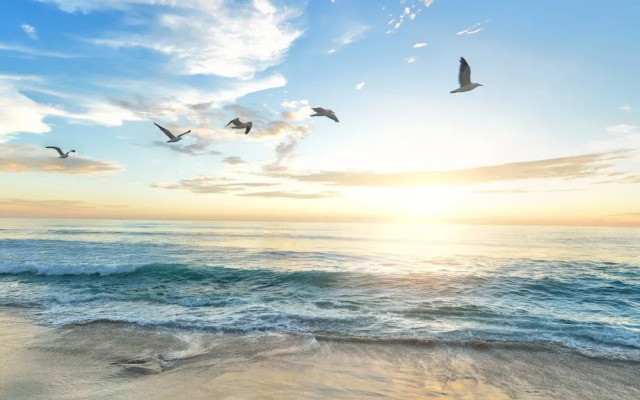 Nokomis Home Close to Beach