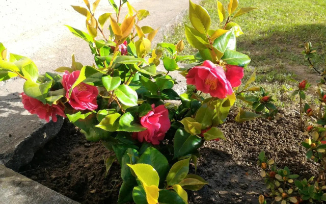 Valtellinaguesthouse