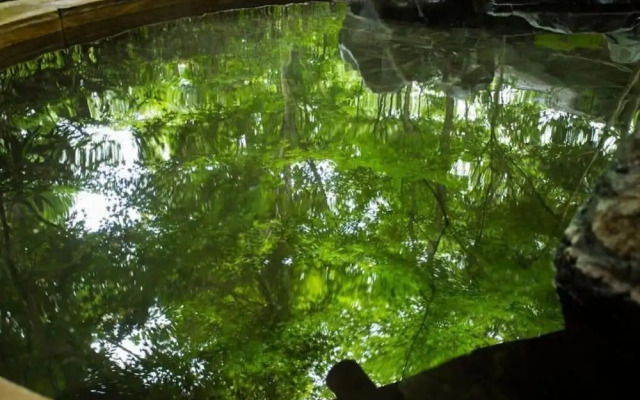 Yufuinkogen Fukinosato