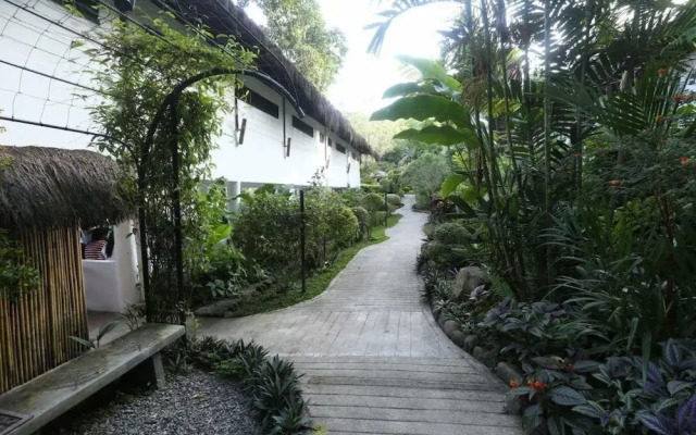 Tejero Highland Resort Adventure Park