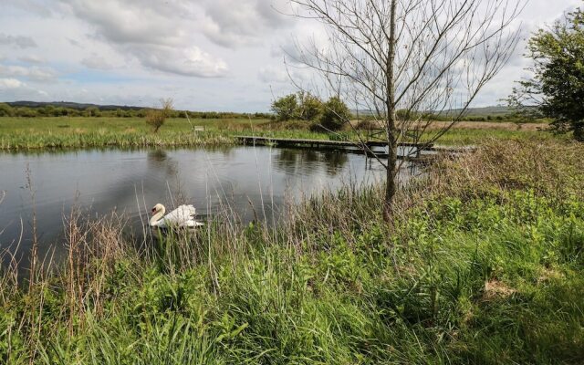 Lakelands, Burry Port