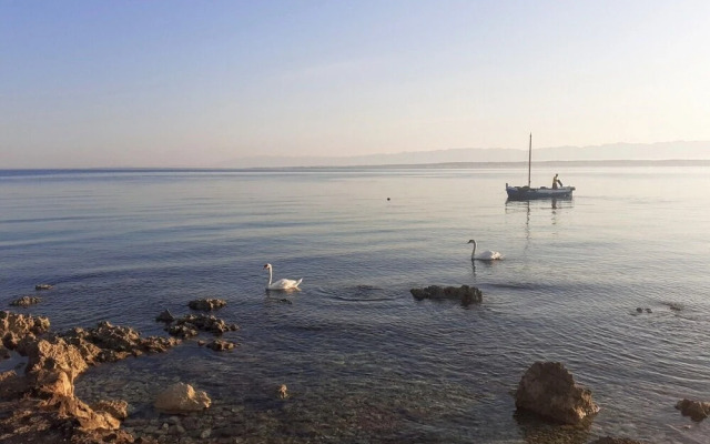 Brane - Charming and Close to the sea - SA1