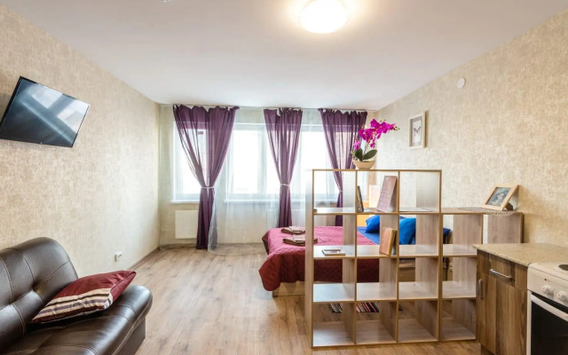 Ночка Сутки на улице Мечтателей