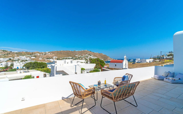 Mykonos Cactus
