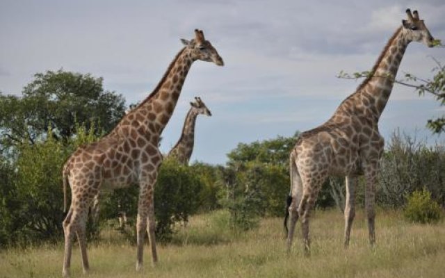 Okutala Etosha Lodge