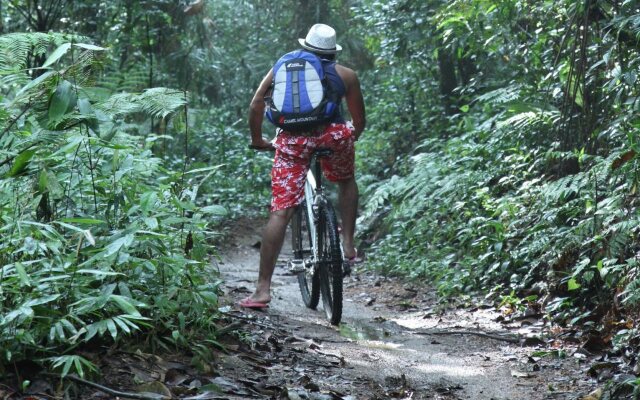 Sinharaja Forest Edge