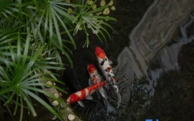 Phoenix City Boutique Hotel