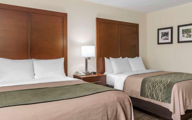 Comfort Inn - Pocono Mountains