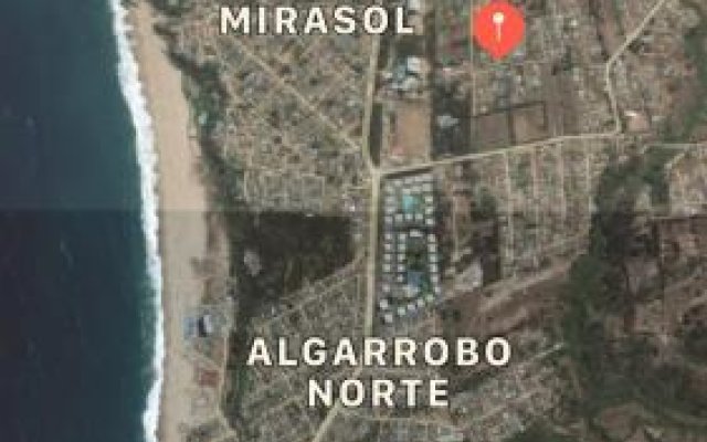 Mirasol de Algarrobo