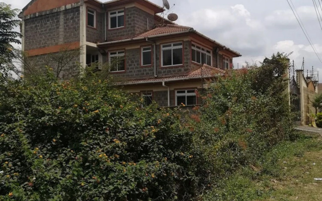 Nyayo homecourts