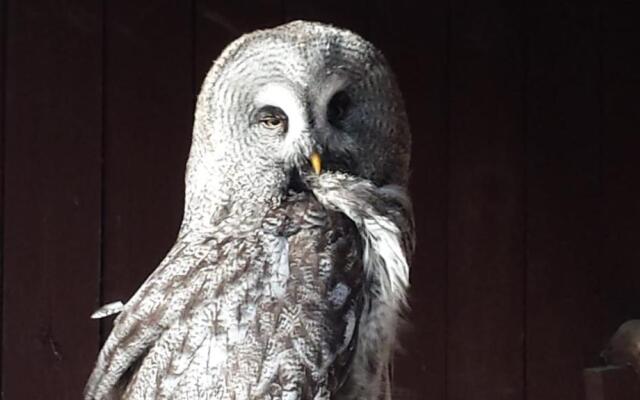 Design Ferienwohnung nienrausch Apartment 2