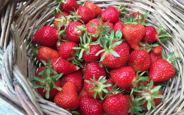 Le Case Della Buca Agriturismo ed Agricampeggio