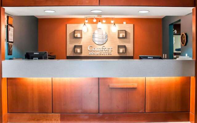 Comfort Inn And Suites Hamburg