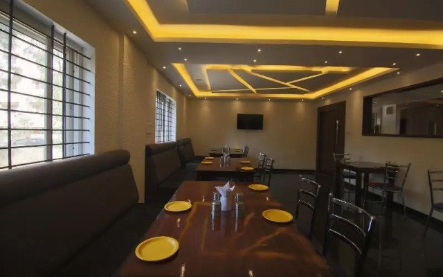 Capital O 36063 Ample Trees