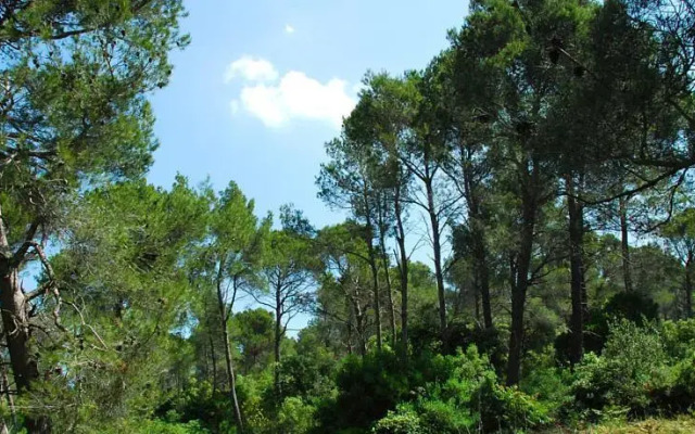 Villa au Coeur des Alpilles