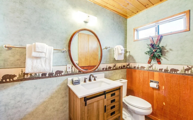 Black Diamond Vista #653