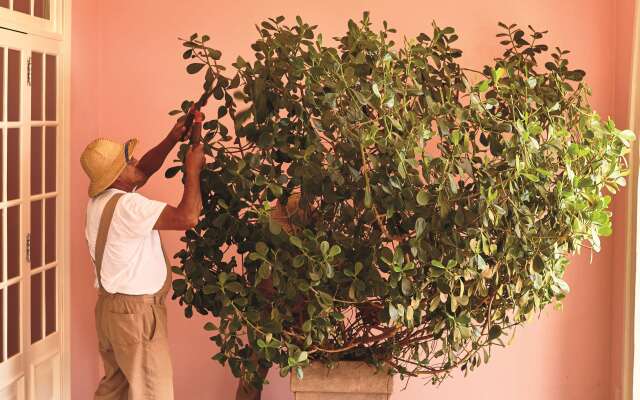 Hotel das Cataratas, A Belmond Hotel, Iguassu Falls