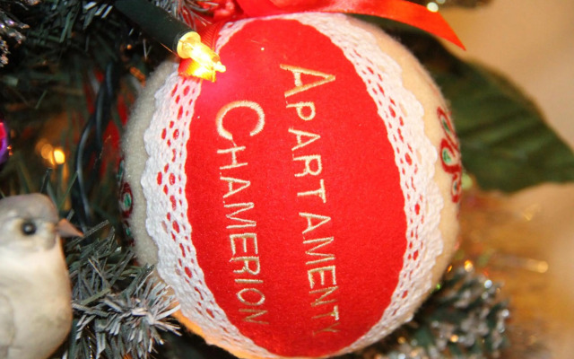 Rezydencja Tatry - Apartament Chamerion 1