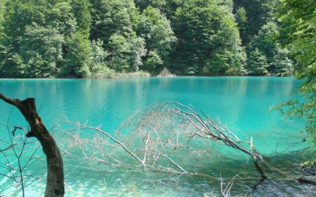 Guesthouse Pavličić