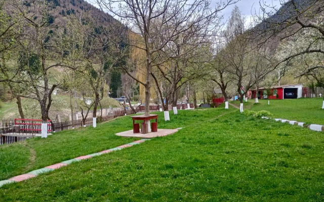Pensiunea Irina 3