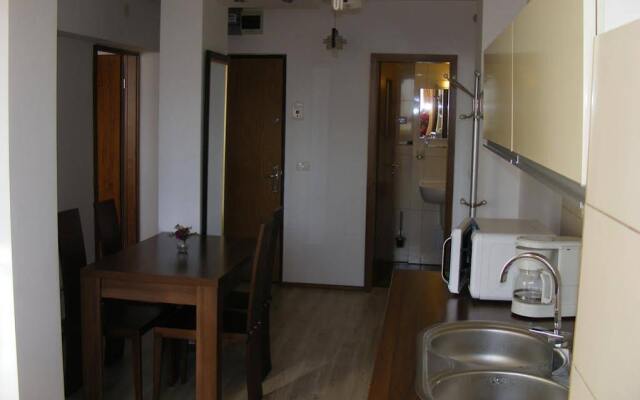 Apartment Toma Garii