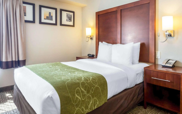 Comfort Suites at Woodbridge