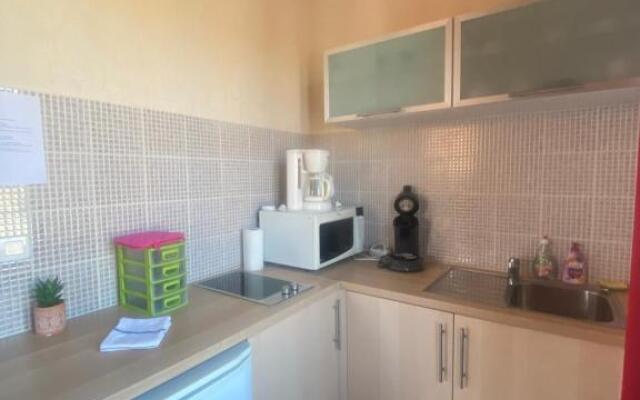 GEWURZTRAMINER - Joli studio au pied du vignoble