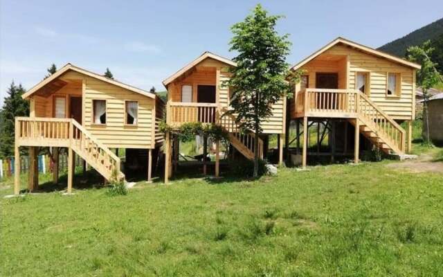 Pilav Dagi Yavuzyilmaz Tesisleri